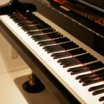 志木市のピアノ教室 Petit cadeauのグランドピアノ