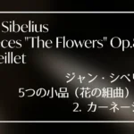 シベリウス作曲5つの小品 Op.85より2.カーネーション
